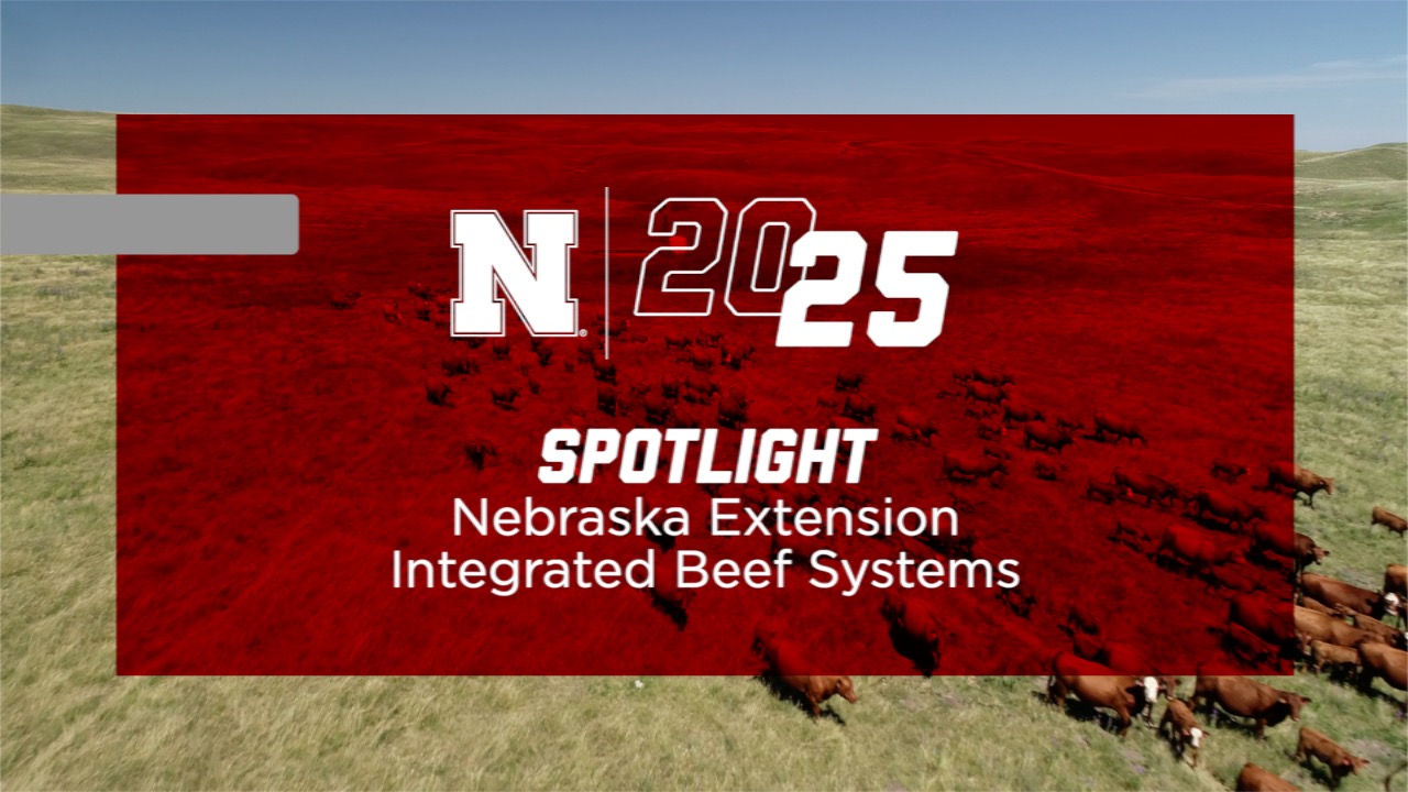 Spotlight: Nebraska Extension Integrated Beef Systems
