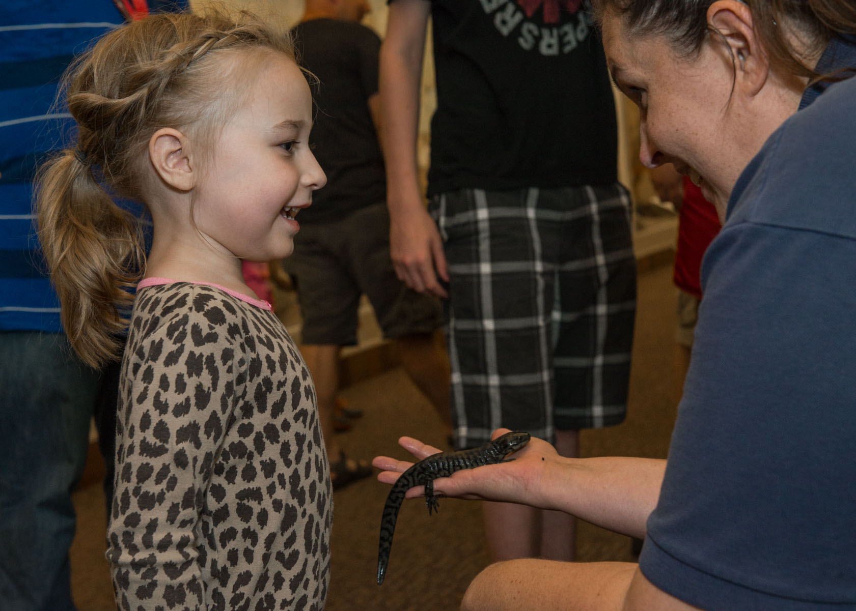 A young visitor learns more about salamanders during a live animal encounter with the Nebraska Game and Parks Commission's Project WILD during "Archie's Late Night Party" in 2015 at Morrill Hall.