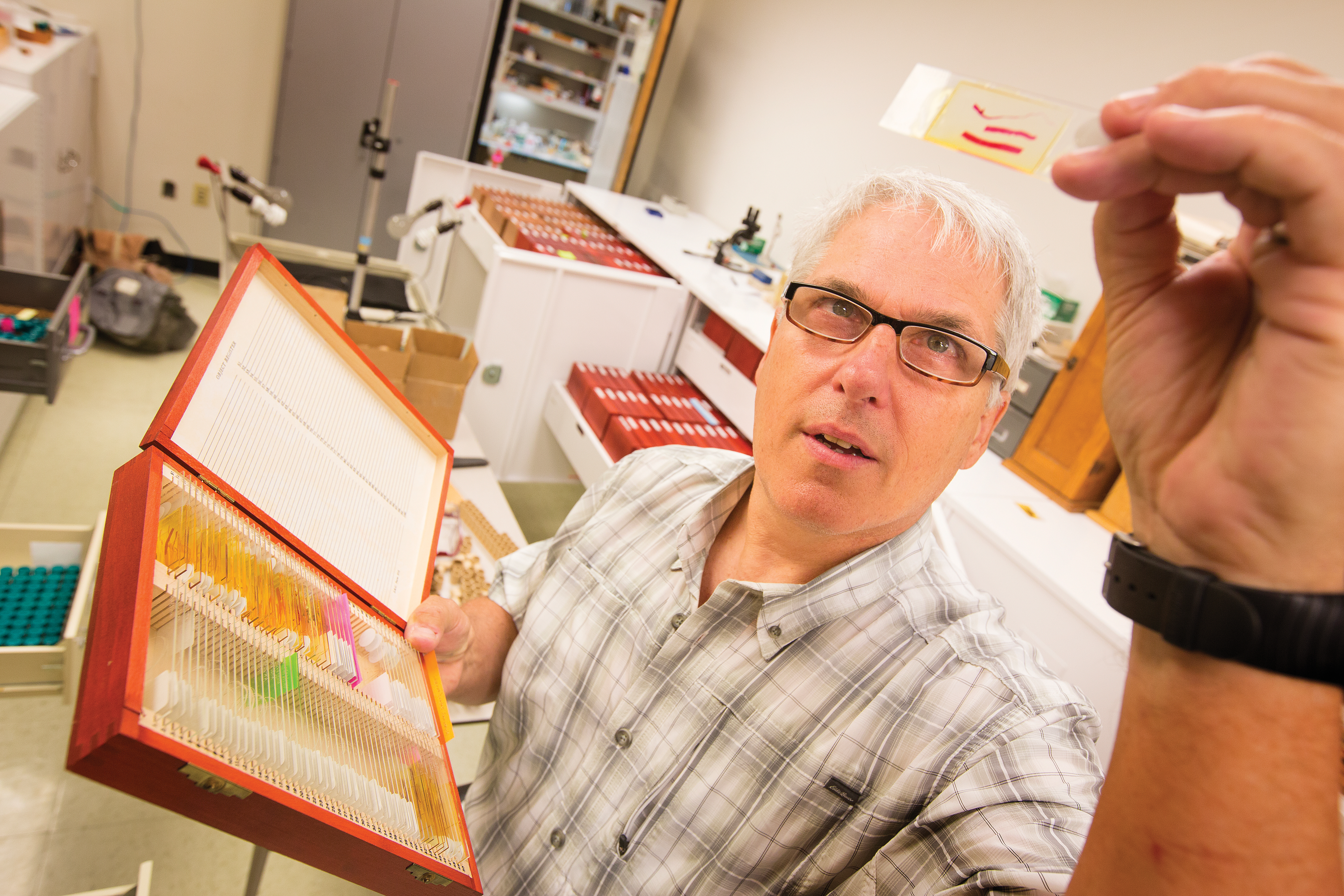 University of Nebraska State Museum curator and parasitologist Scott Gardner holds a specimen slide in the museum's Harold W. Manter Laboratory of Parasitology. Scientific research from the lab and research specimens are featured in the new exhibition "Guts and Glory: A Parasite Story" at Morrill Hall.
