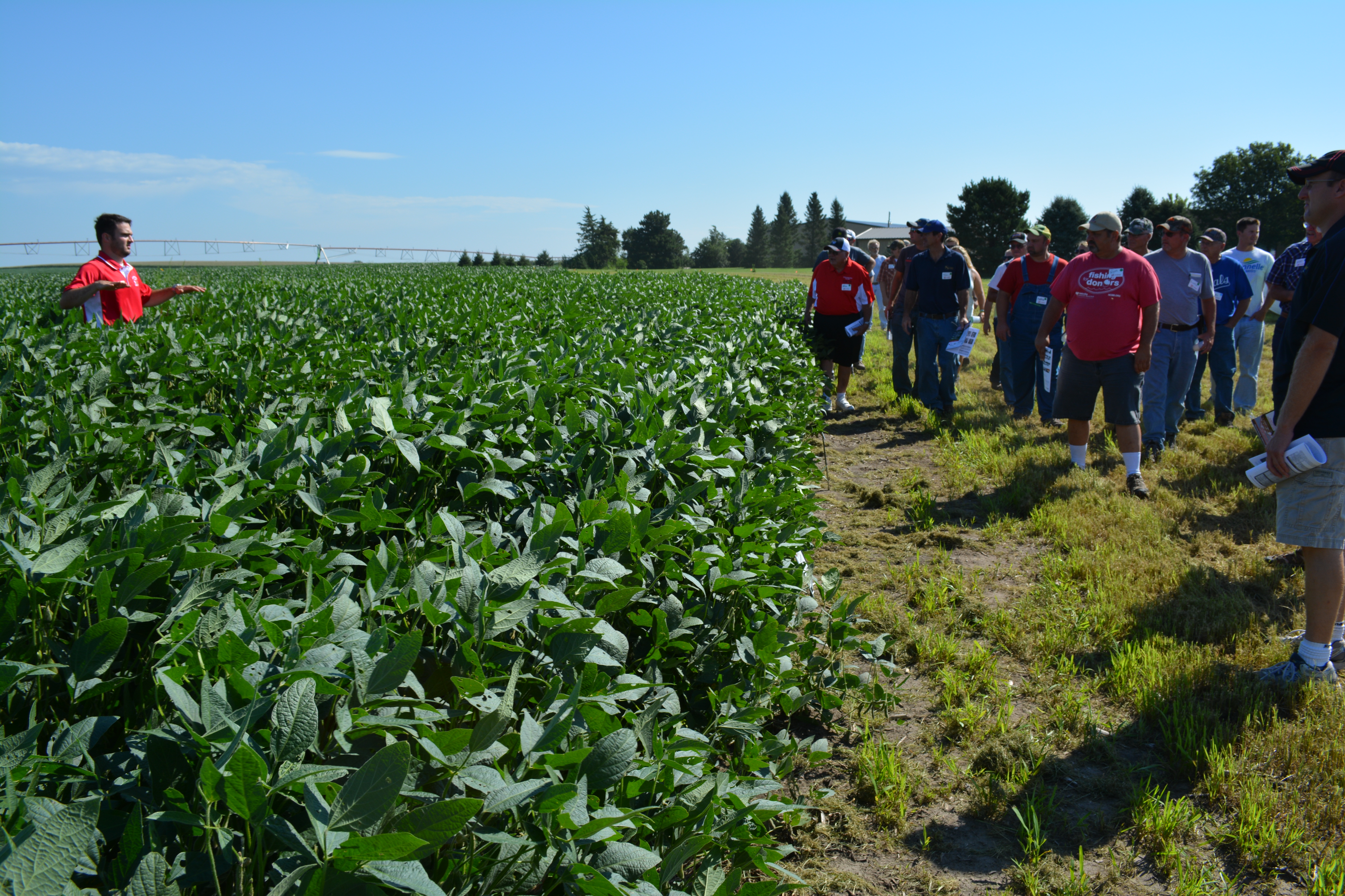 Cropping systems specialist Rodrigo Werle covers the latest research and technology to assist soybean producers during a 2016 soybean management field day near Cordova.