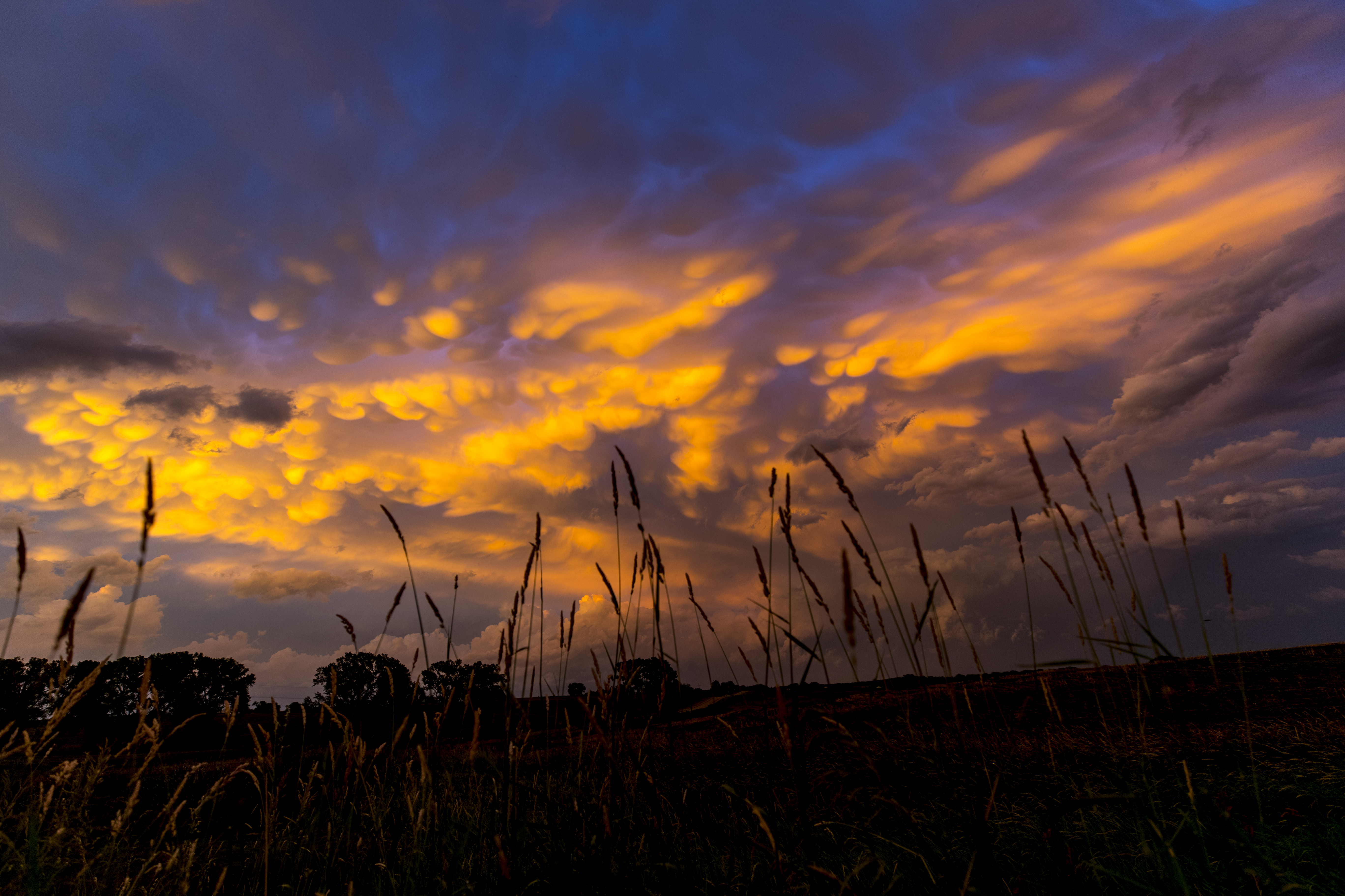 A new project led by the University of Nebraska-Lincoln will help high school students in Nebraska develop climate literacy.