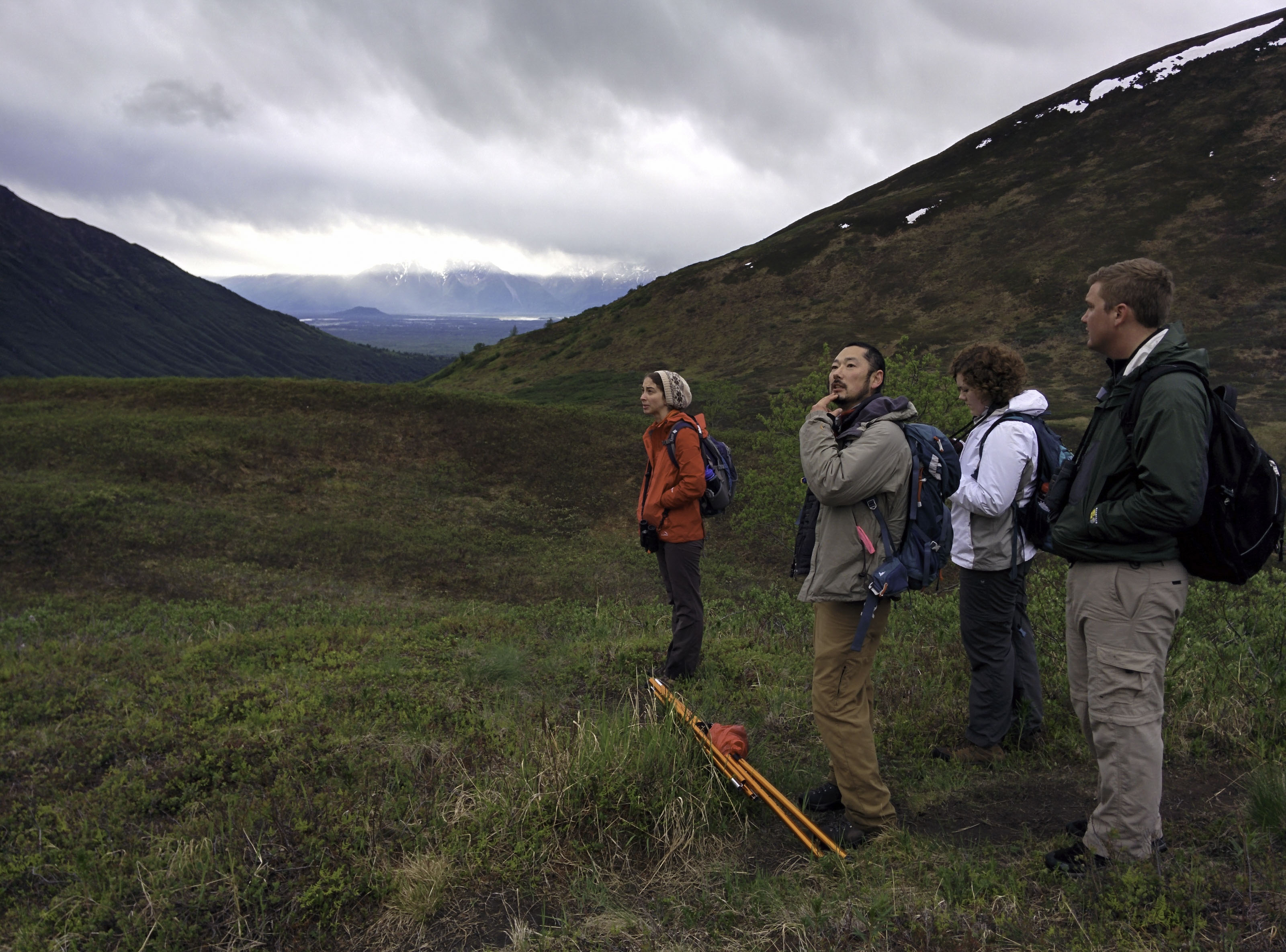 University of Nebraska-Lincoln biologists Emily Hudson (left), Daizaburo Shizuka (second from left) and their colleagues tracked golden-crowned sparrows to their nests in southern Alaska as part of a study into how sparrow chicks recognize their species' songs. The study found that week-old chicks, despite not yet learning their mating song, can distinguish that song from another sparrow species' based on its first note alone.