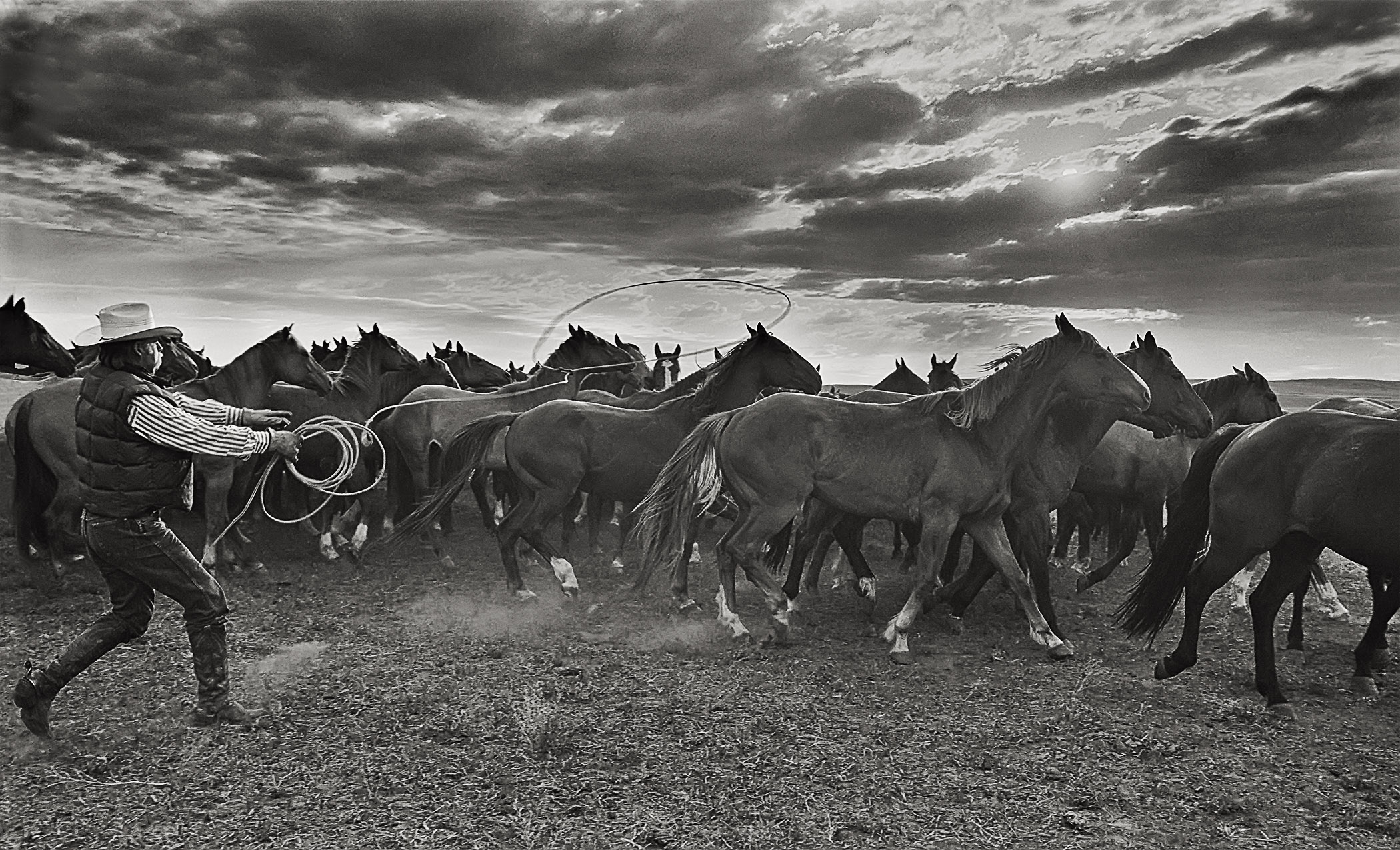 “Morning Mounts ’02” by Charles W. Guildner, 2002