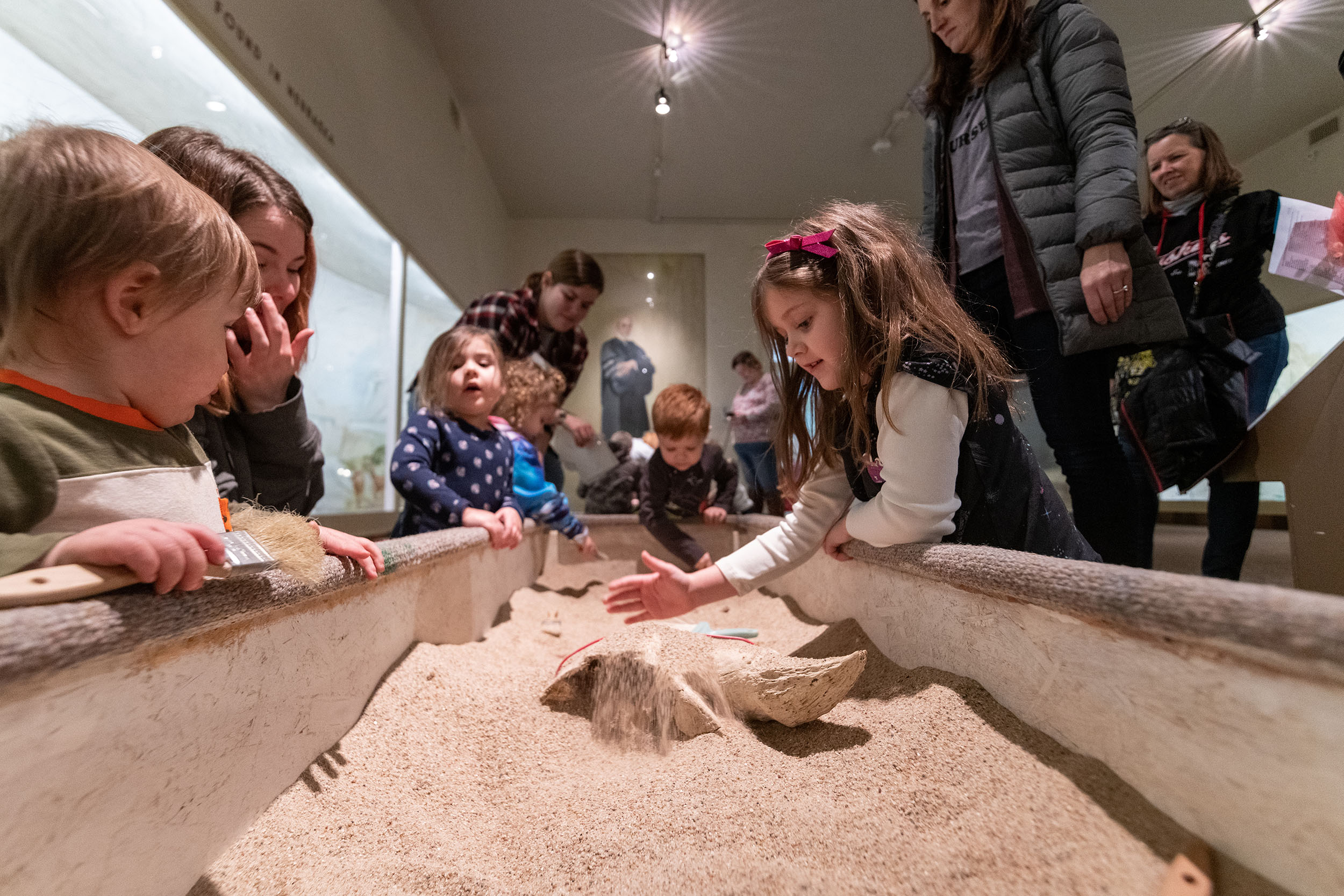 Archie’s Party — 9 a.m. to 5 p.m. June 12 at the University of Nebraska State Museum-Morrill Hall — will feature two large fossil dig sandboxes, as well as a scavenger hunt, the short film “Carrie Barbour” and a variety of craft stations.