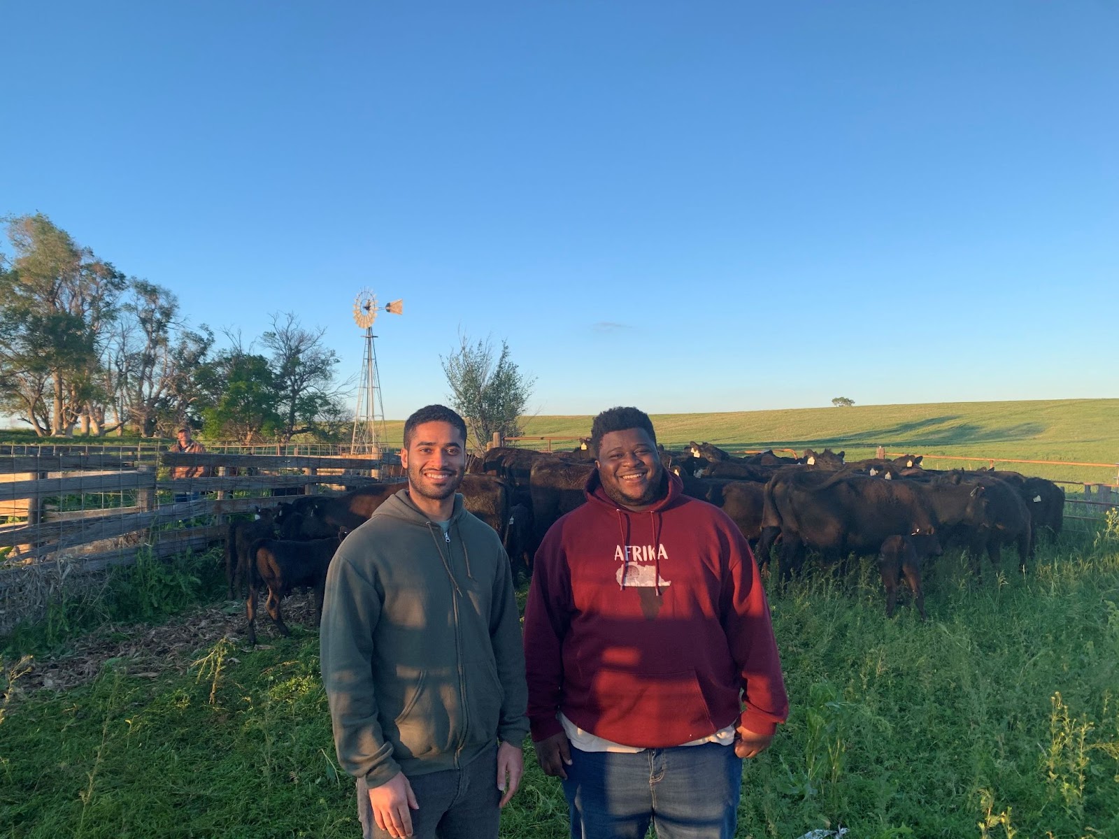 Rural Fellows Ahmed Al Rawahi (left) and Laruent Ikuzwe moved cattle to pasture with Gothenburg residents.