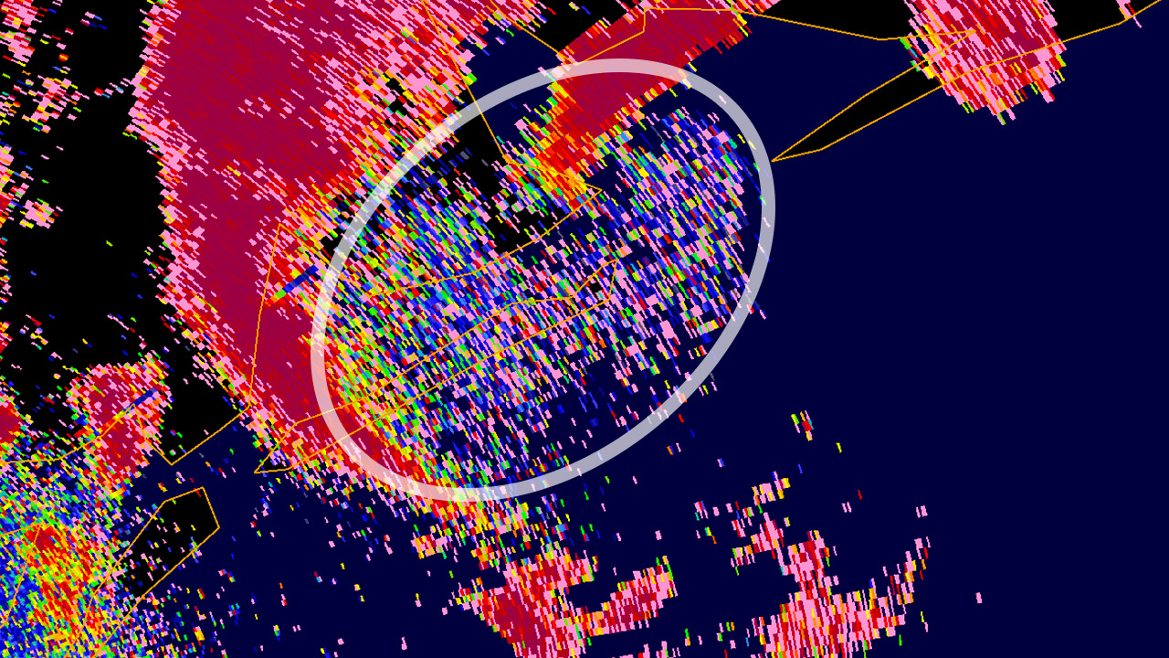 Radar from Tropical Storm Beta after it made landfall near Corpus Christi, Texas, on Sept. 22, 2020. The white oval marks a bioscatter signature, indicating the presence of birds.