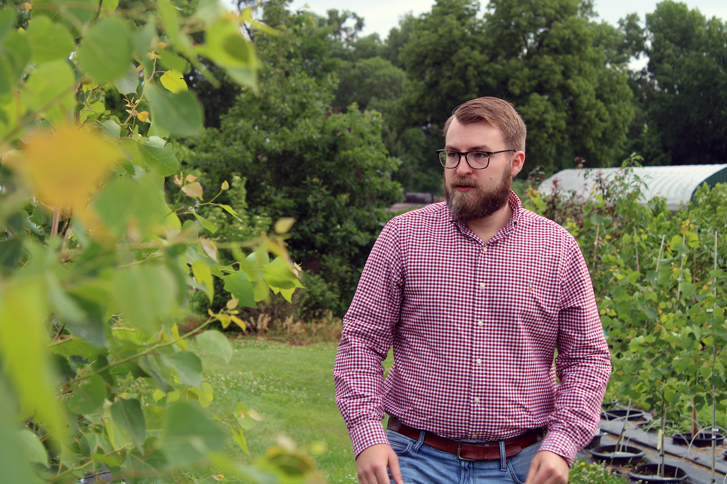 Austin Arens scouts aspen trees to be planted along Valentine’s Main Street this fall.