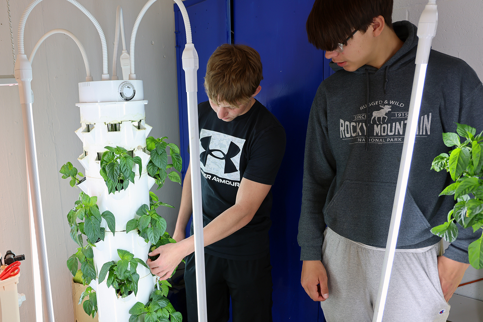 Students grow bell peppers in a hydroponic growing tower at Southern High School in Wymore.