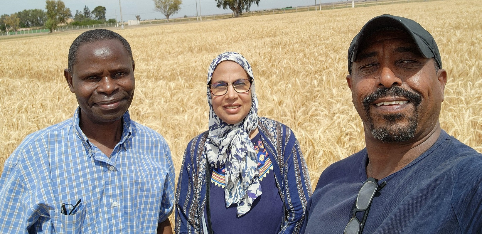 Stephen Wegulo (left) and Fatiha Bentata (center) visit wheat research plots at Rabat Regional Center for Agricultural Research in Marchouch commune, Morocco overseen by wheat breeder Wuletaw Tadesse (right)