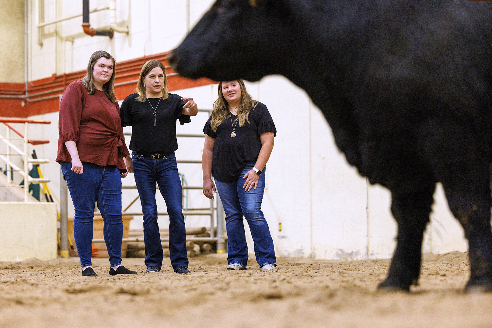 Jessica Petersen (center), associate professor of animal science, and graduate students Mackenzie Batt (left) and Lauren Seier (right) are part of a five-person Husker team whose research can expand the range of genetic tools used by breeders to boost cattle growth efficiency.