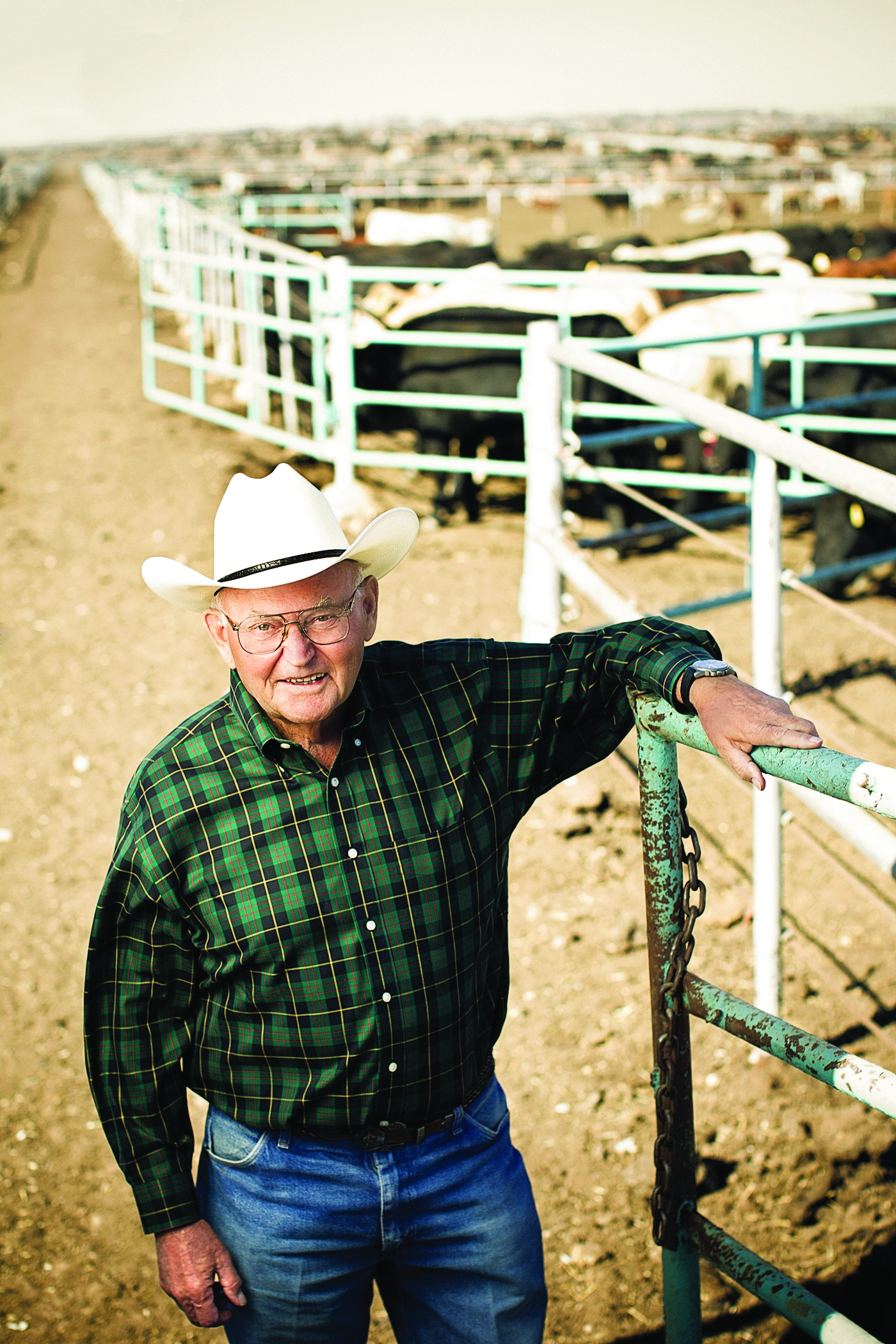 Paul Engler, wearing a cowboy hat, with cattle behind him