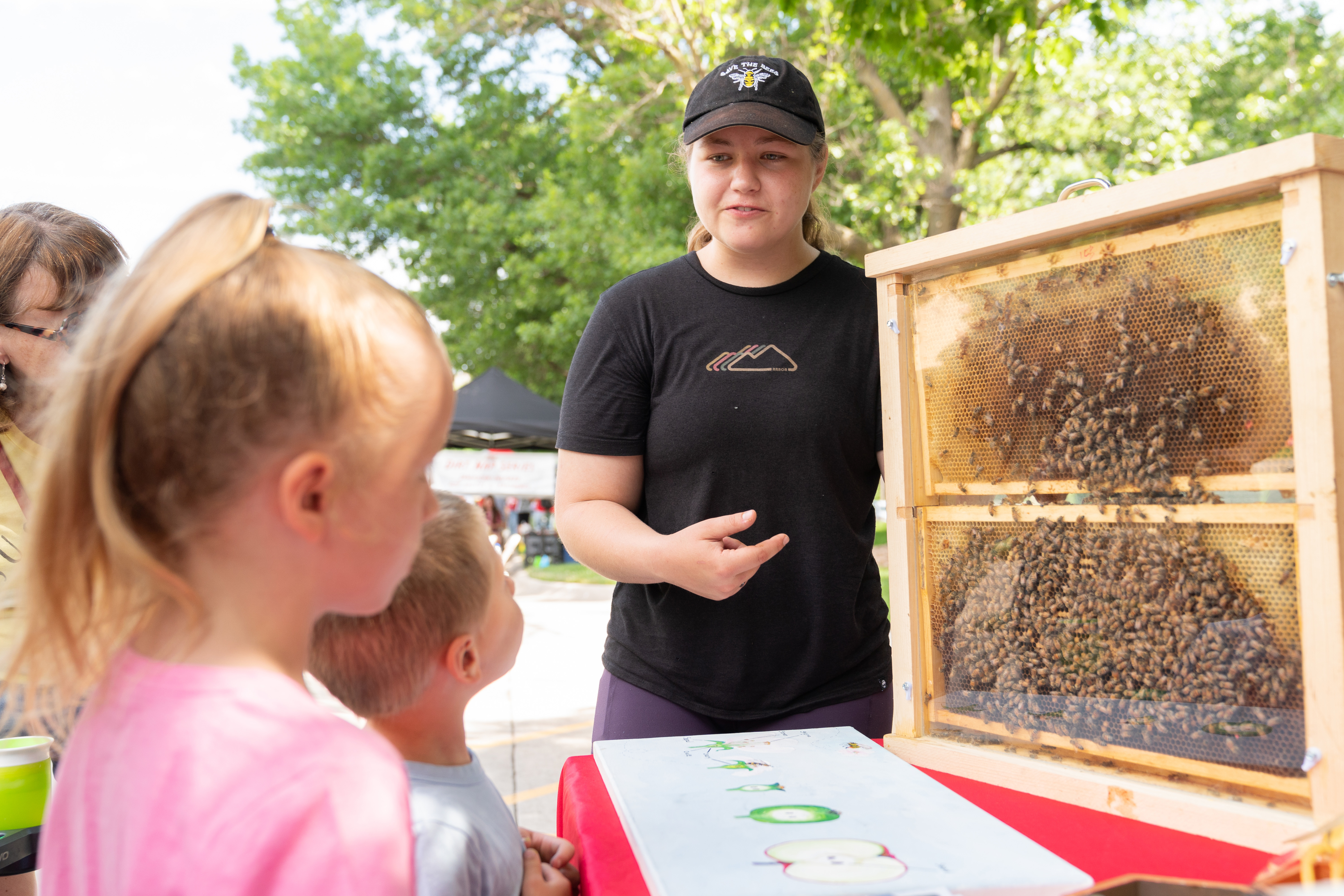 A young woman shows a transparent case of live bees to a boy and girl at an outdoor event.