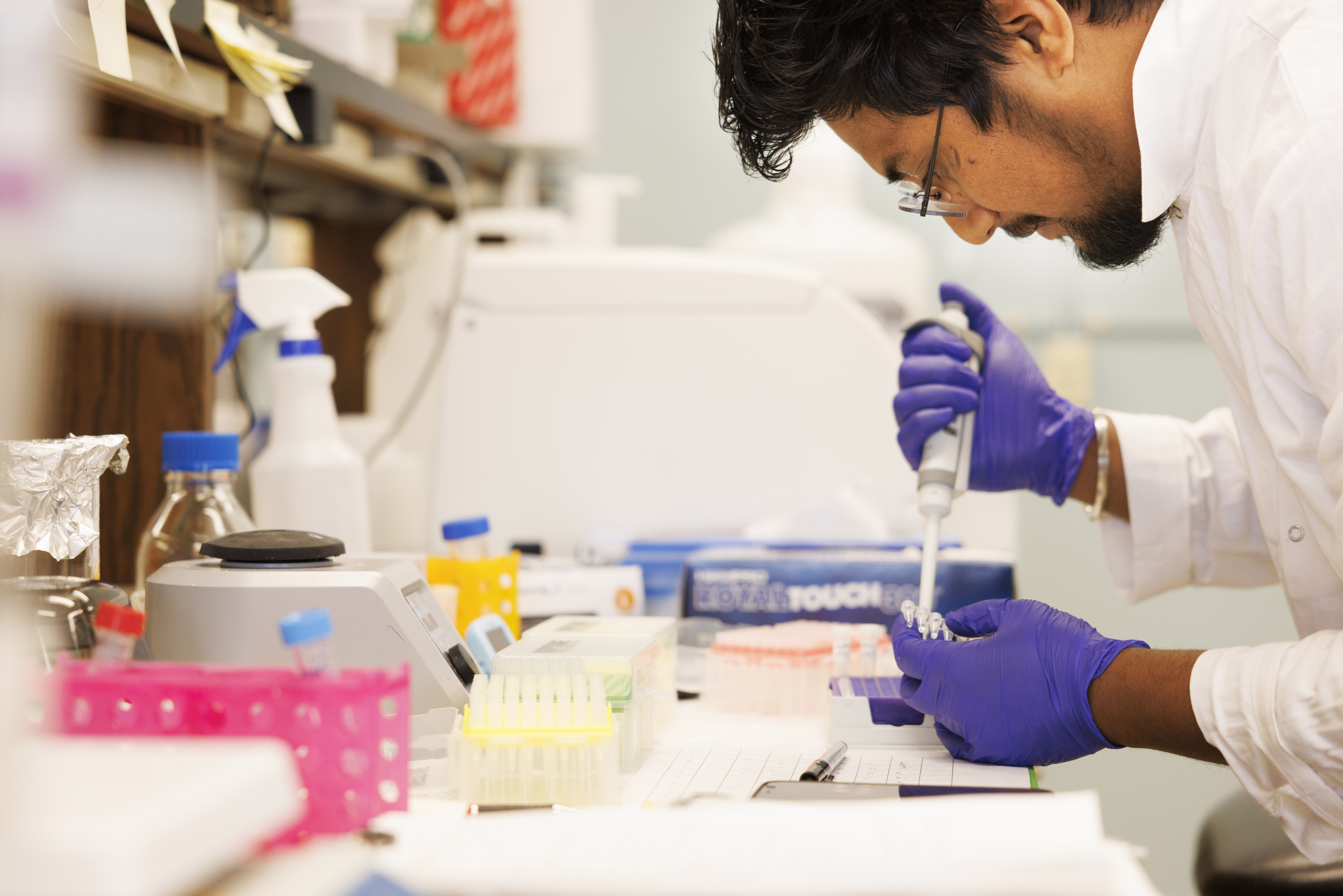 Mritunjoy Barman, a postdoctoral research associate, prepares for a reverse transcription quantitative polymerase chain reaction.