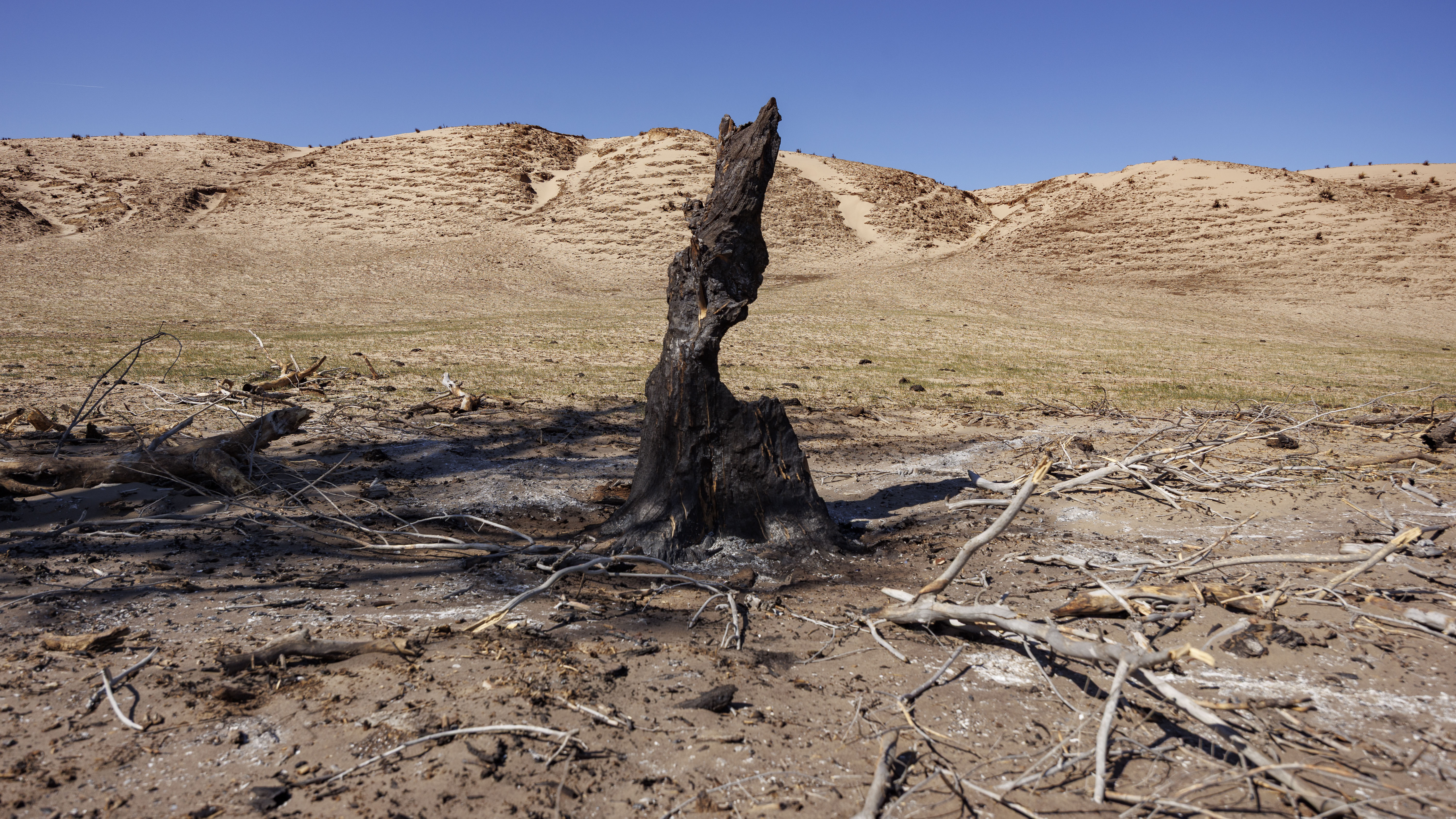 A charred tree truck stands in a burnt section of the Nebraska Sandhills.