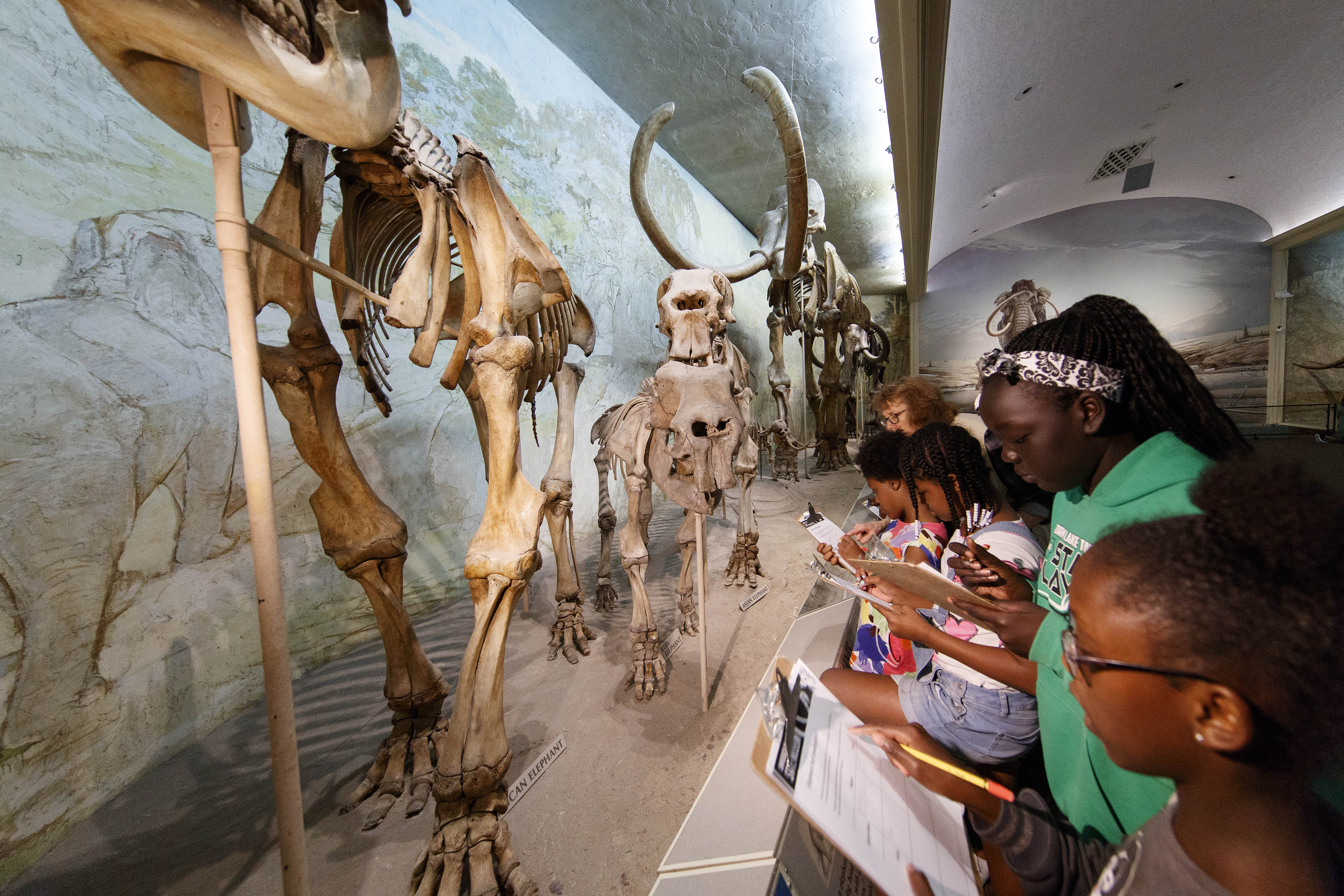 A group of students and a museum educator look at fossils in Elephant Hall.