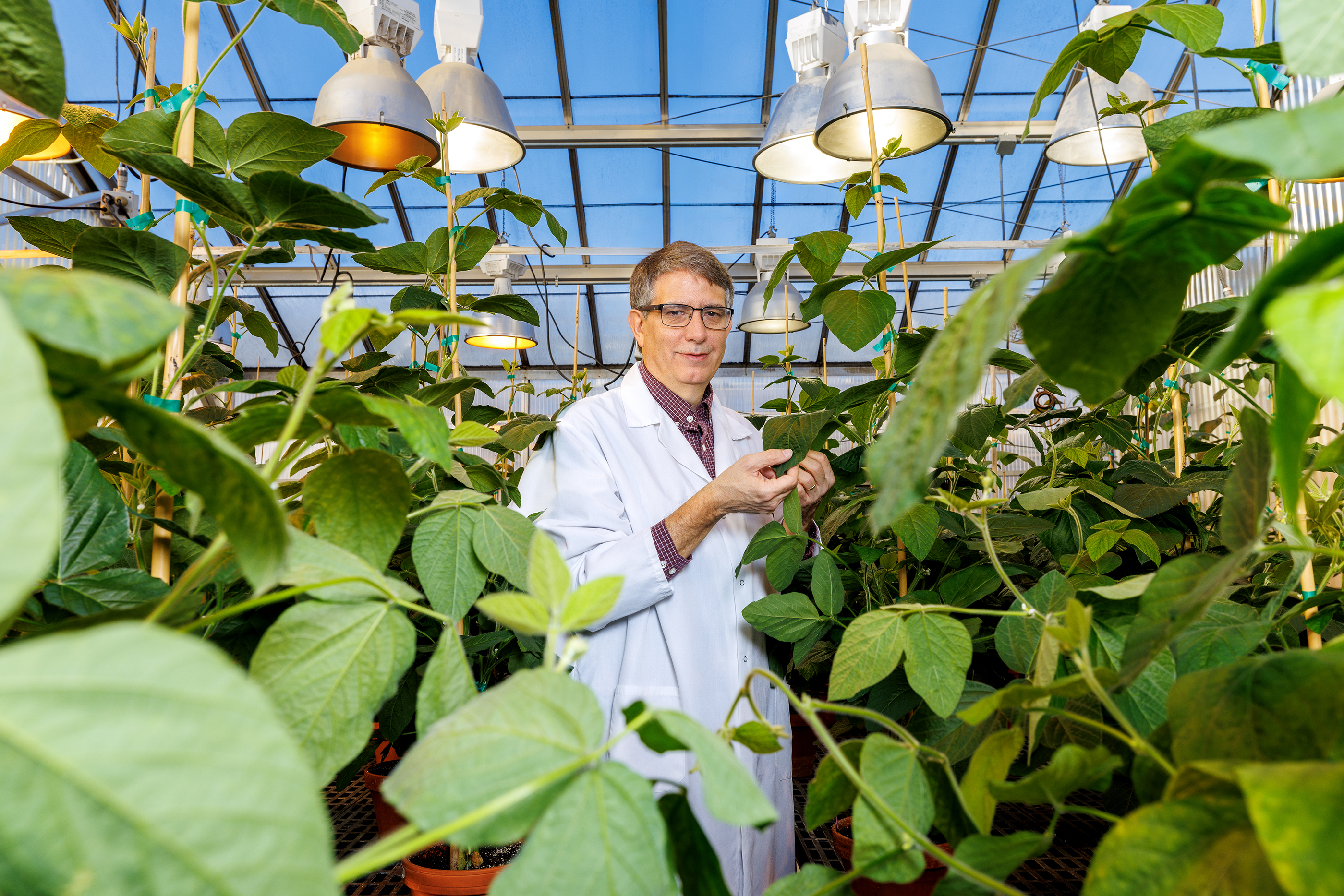 Edgar Cahoon stands inside a Beadle Hall greenhouse at the University of Nebraska–Lincoln. He is framed by plants.