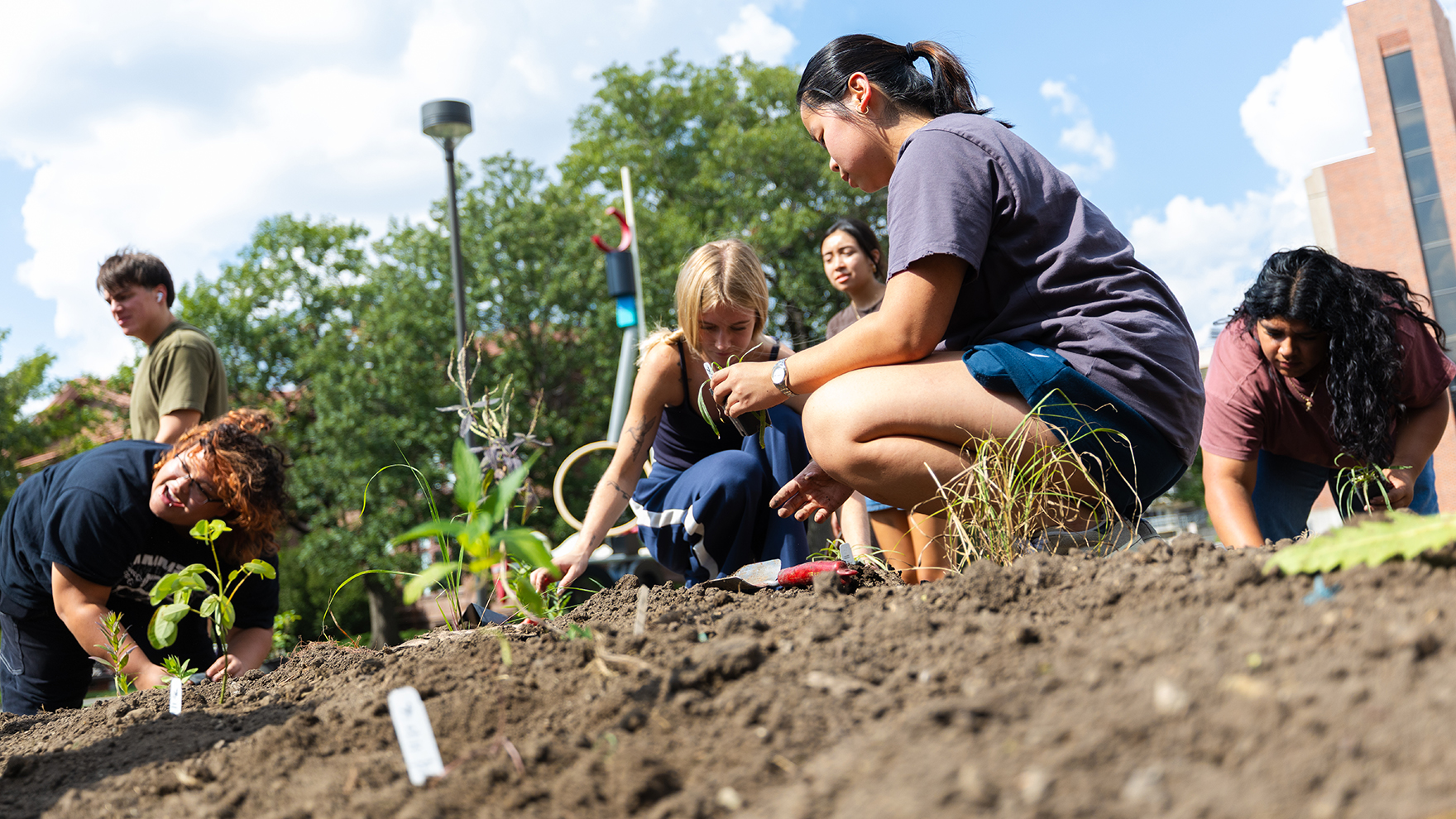 Students plant the Indigenous garden on Sept. 16.