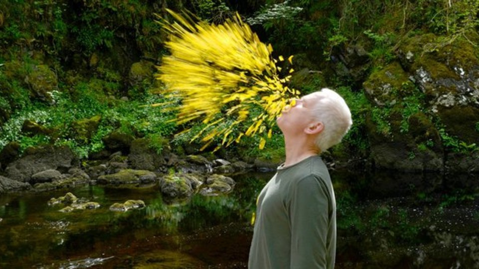 Artist Andy Goldsworthy is featured in "Leaning into the Wind," a film opening April 6 at the Ross.