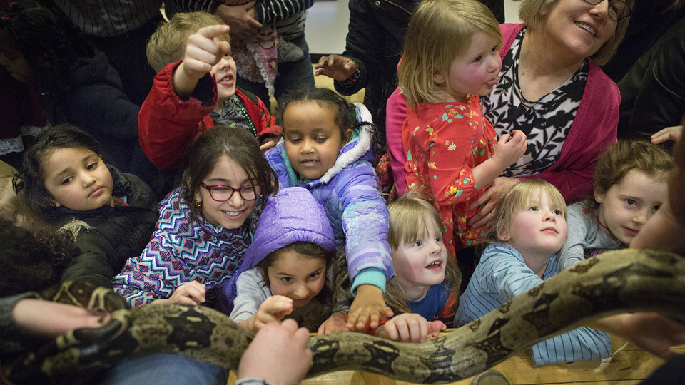 Kids get the opportunity to touch a snake during an event with Wildlife Encounters held by the School of Natural Resources at Hardin Hall on Tuesday, March 5, 2019. The event was part of the annual College of Agricultural Sciences and Natural Resources We