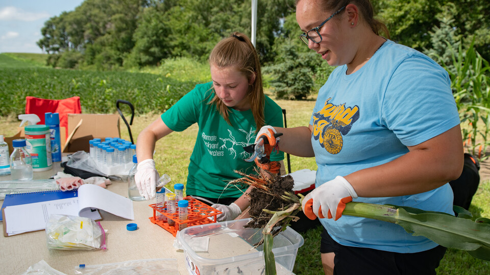 Young Nebraska Scientists High School Researchers learn laboratory skills during a field experience.