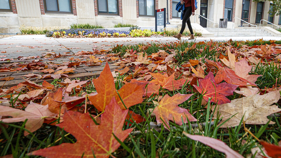 Fall leaves outside Andrews Hall. [Craig Chandler | University Communication]