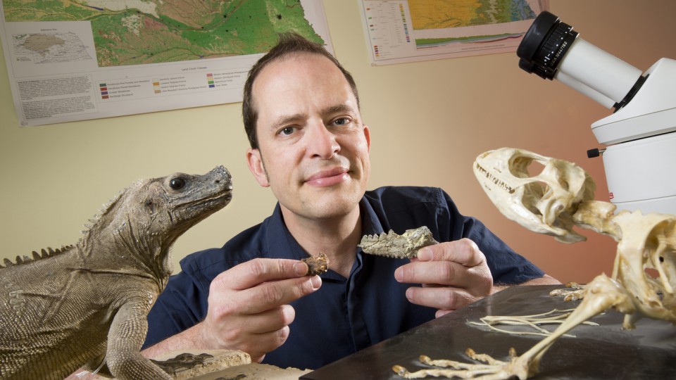 Jason Head, assistant professor of Earth and Atmospheric Sciences, holds a fossil and fossil cast from the jawbone of Barbaturex morrisoni, a giant ancient lizard. (Craig Chandler, University Communications)
