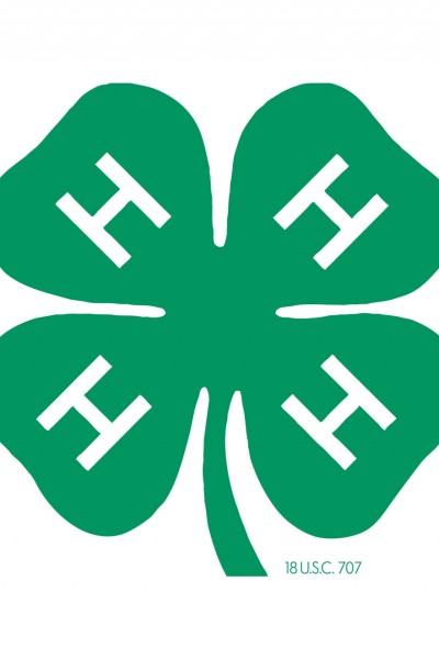 Character development is a cornerstone of the 4-H program.