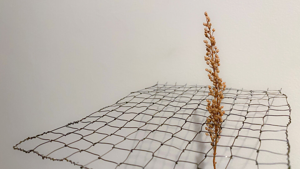 Carlie Antes, “Outgrowth,” 8” x 6” x 6”, wire and sorghum. 