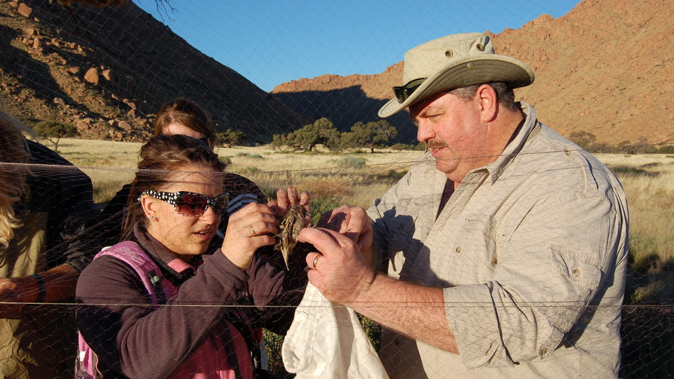 Larkin Powell, professor of wildlife ecology and conservation biology, works with a student to remove a bird from a net as part of an education abroad program in Namibia, Africa.