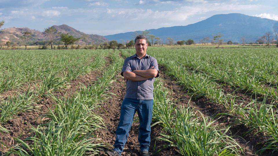 On his farm near Santa Ana, El Salvador, Carlos Martinez stands in a sugarcane field plowed with a tractor and machinery he built. Carlos Eduardo Somoza Vargas