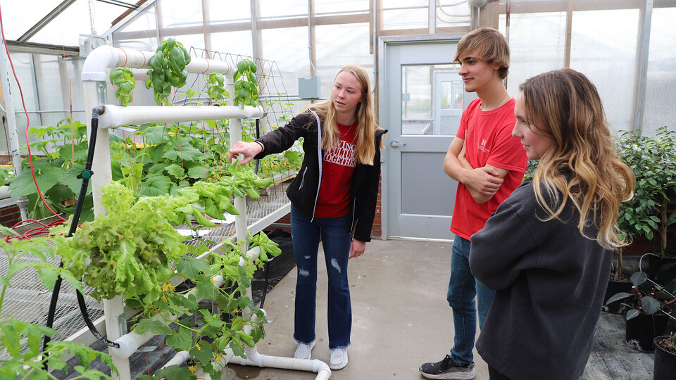 Grace Ruff, a senior plant and landscape systems major (from left), demonstrates her hydroponic system to Hydroponics for Growing Populations classmates William Anderson and Nicole Svanda at the 2022 open house.