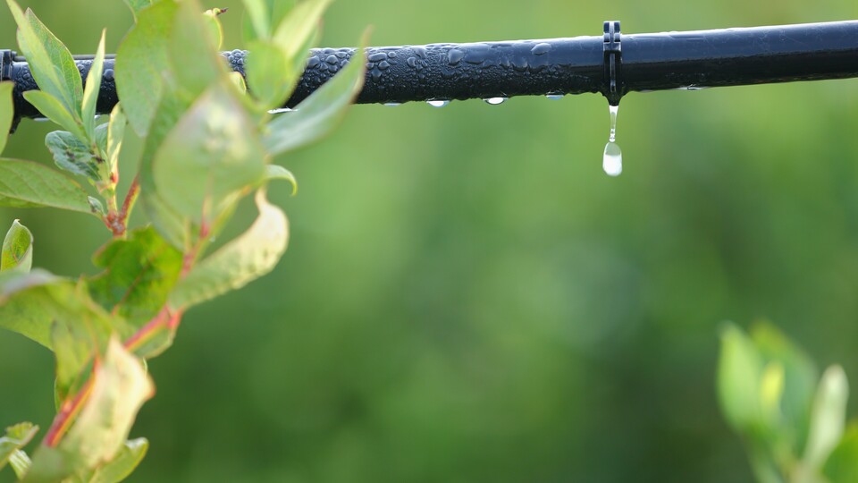 Irrigation Drip System