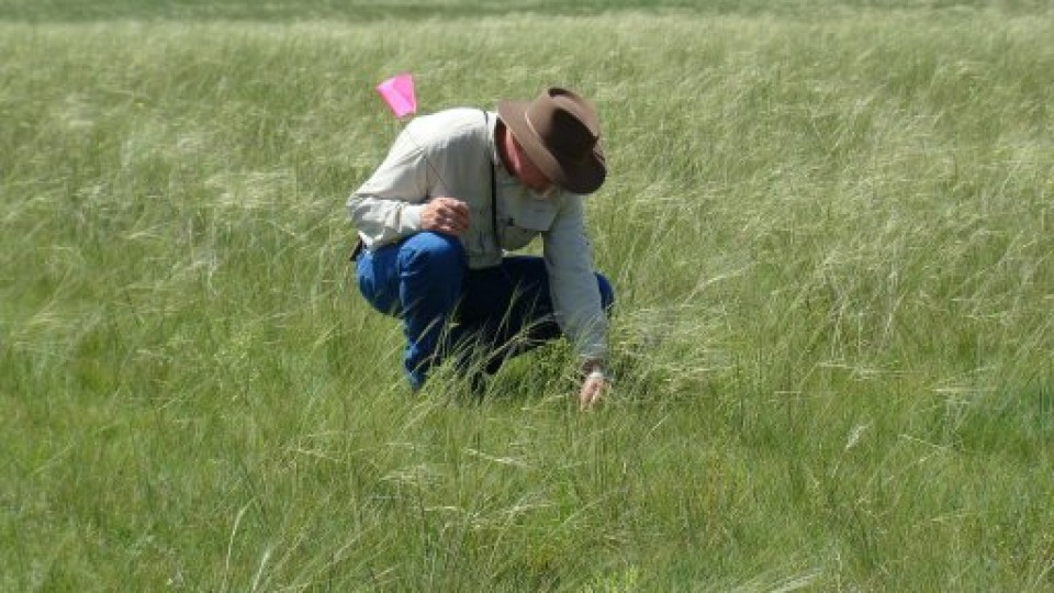 Monitor your rangeland to determine proper stocking rates. Photo courtesy of Aaron Berger.