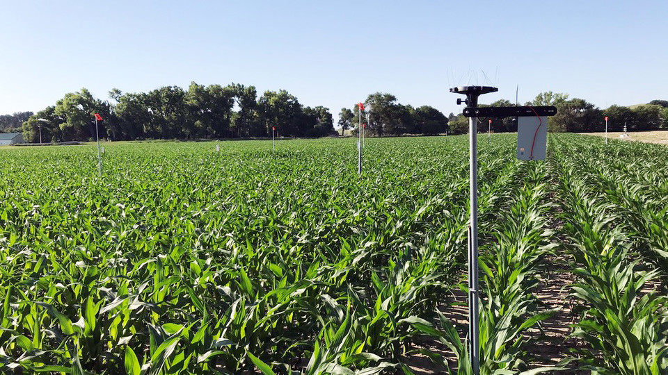 Researchers with the University of Nebraska-Lincoln will use the Arable Mark IOT device to record 40 variables in Nebraska farm fields as part of a research effort to improve data farmers use to determine whether they should irrigate.