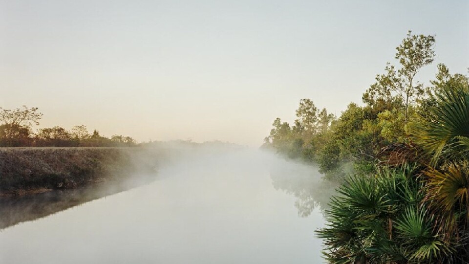 "Boundary, Everglades National Park, Florida," a photograph by Marion Belanger.