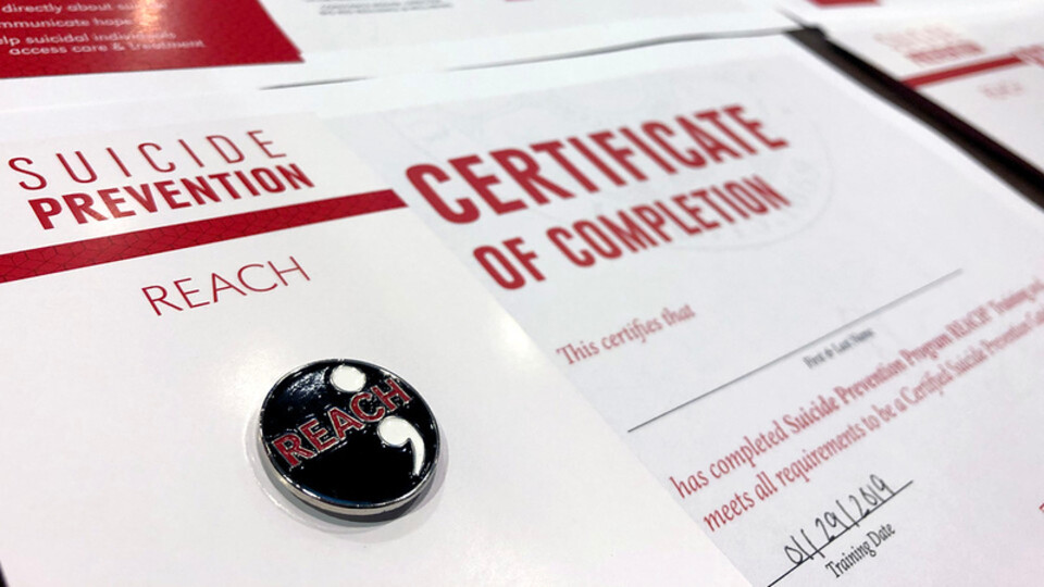 REACH Certificate and Pin