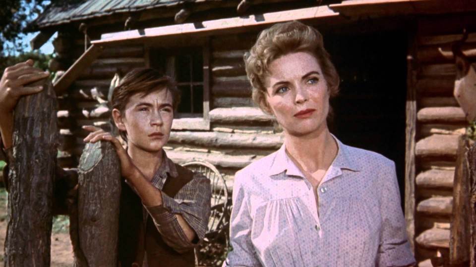 Image result for dorothy mcguire in old yeller