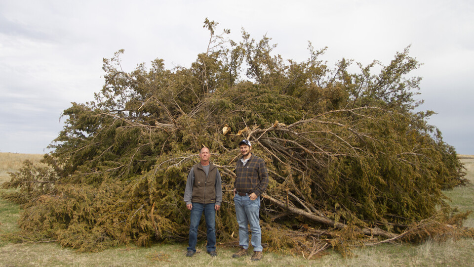 In a project funded by the Nebraska Environmental Trust, members of the Institute of Agriculture and Natural Resources helped 11 ranchers near UNL’s Barta Brothers Range in the Sandhills  remove invasive redcedar. Learn more at https://go.unl.edu/zrve.