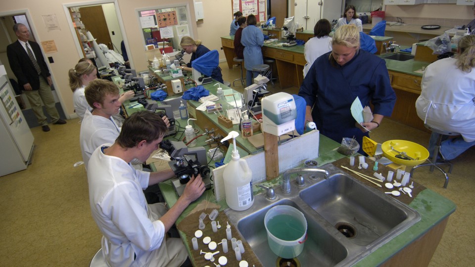 Students work in a lab at the Nebraska College of Technical Agriculture in Curtis, Nebraska. A new agreement will allow Curtis students who finish a specific two-year track to transfer to UNL and earn a bachelor's degree from the College of Agricultural Sciences and Natural Resources.