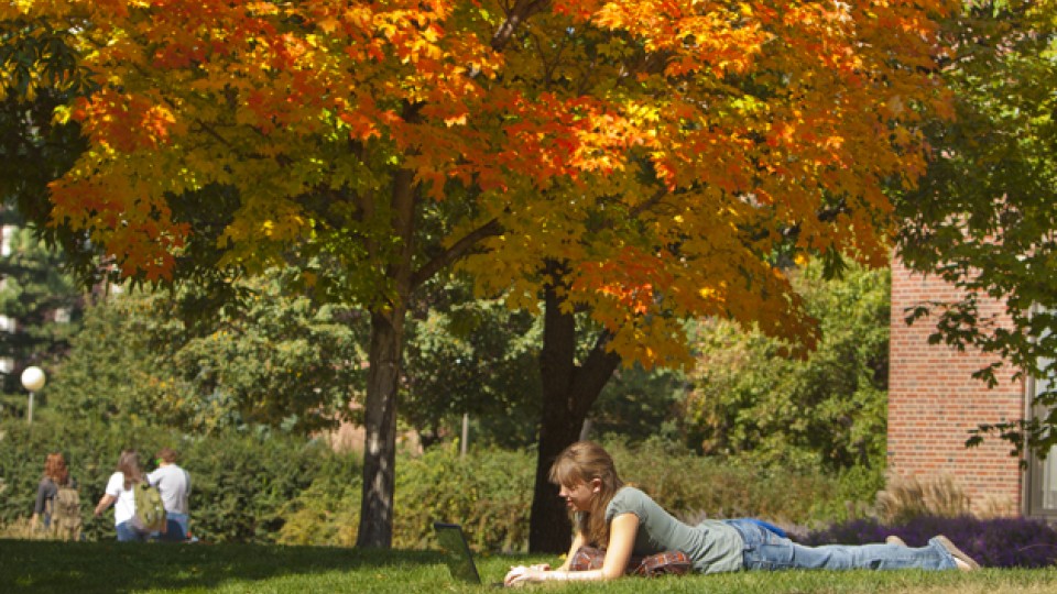 A UNL student works on a laptop with a splash of fall color on the background.
