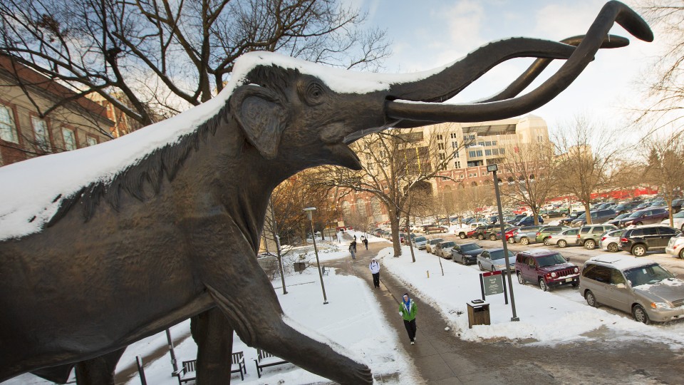Archie the Mammoth stands outside the University of Nebraska State Museum in Morrill Hall. The museum has been named an affiliate of the Smithsonian Institution.