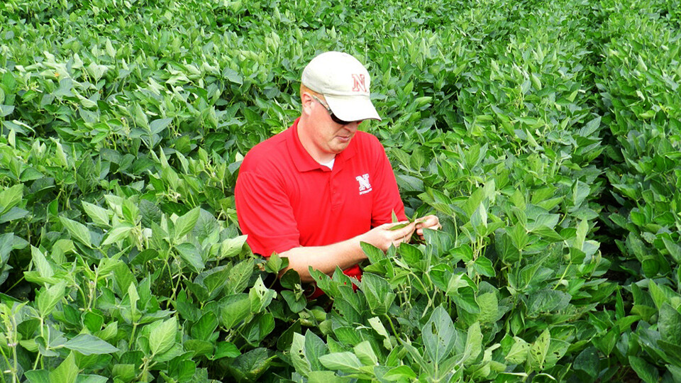Wayne Ohnesorg in soybean field
