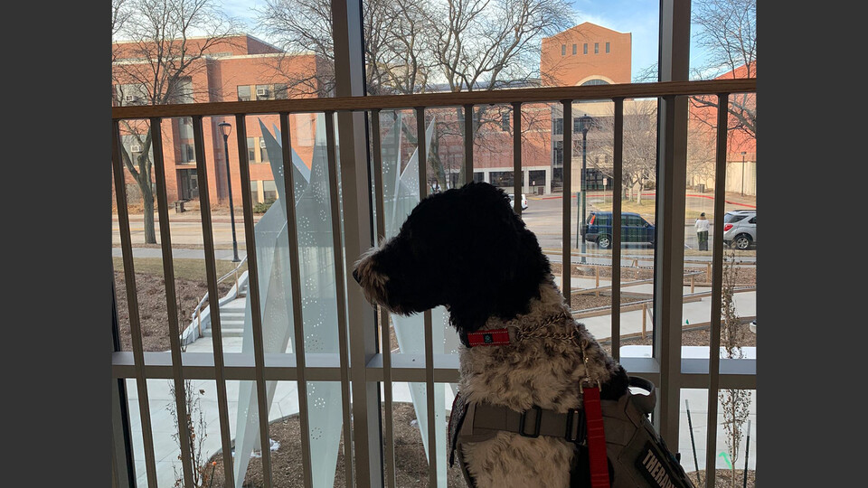 UNLPD therapy dog