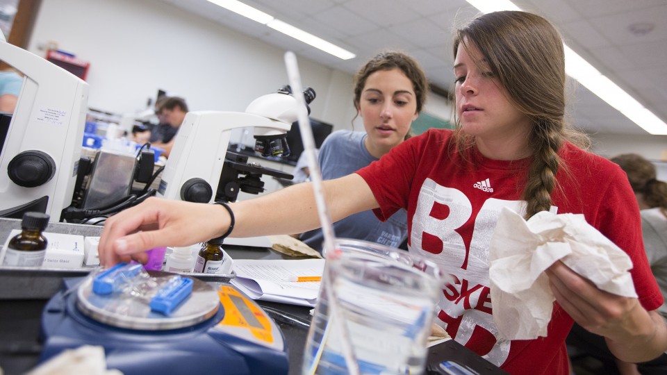 Students work on a biology lab assignment in UNL's Brace Hall. UNL faculty Tomas Helikar and Joseph Dauer have received funding from the National Science Foundation to reshape life sciences teaching to meet modern day needs.