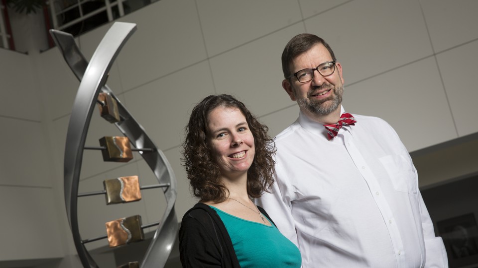 An experiment led by UNL's Timothy Gay (right) and Joan Dreiling has signaled the need for a more complete model of electron-molecule scattering.