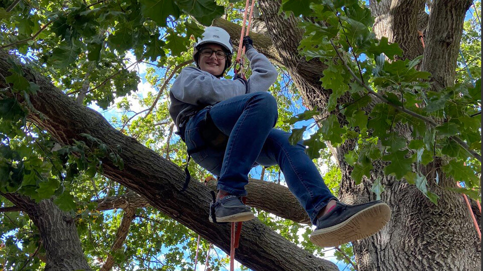 Ryleigh Grove looks down at the camera while climbing a tree with a rope harness