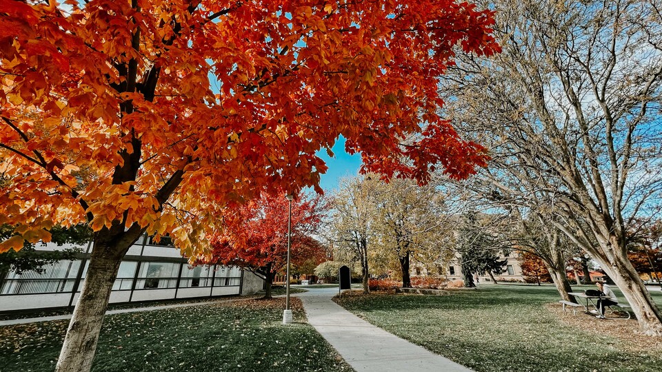 Autumn day on City Campus