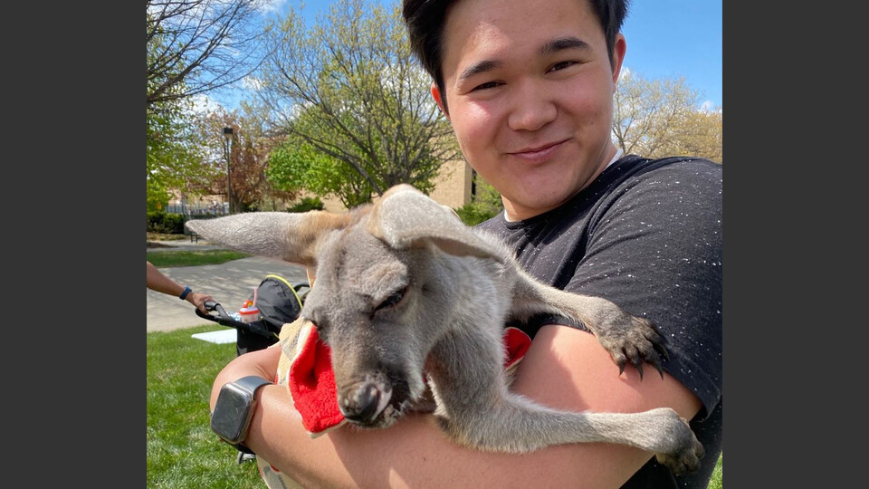 Calen Bernbeck with young kangaroo