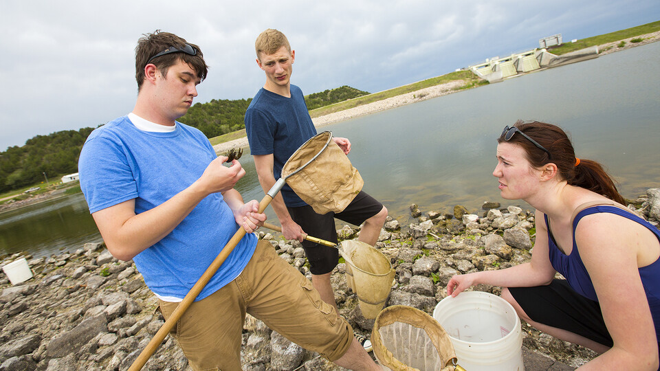 Huskers (from left) Alex Contino, Ryan Nathan and Gini Phillips compare results of their search for crawfish to be part of an experiment in this file photo. The project was part of a School of Biological Sciences course offered at Nebraska’s Cedar Point Biological Station.