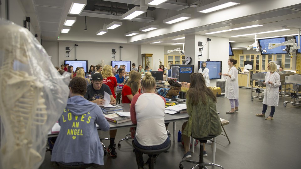 The redesigned anatomy lab in UNL's Manter Hall includes room for 60 students. the space includes six cadaver tanks, a specialized high-definition camera system, group work stations and an air exchange system that replaces the air in the lab 22 times each hour.
